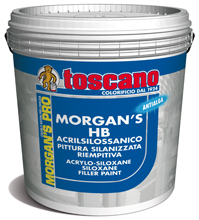 MORGAN'S HB ACRILSILOSSANICO