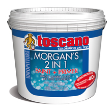 MORGAN'S 2 IN 1 PAINT & PRIMER